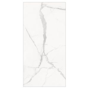 Porcelanato Esmaltado Superior 60X120cm Satin Retificado
