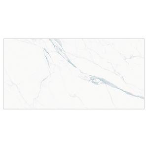 Porcelanato Esmaltado Ballet Statuario WH 120X120cm Nat Retificado