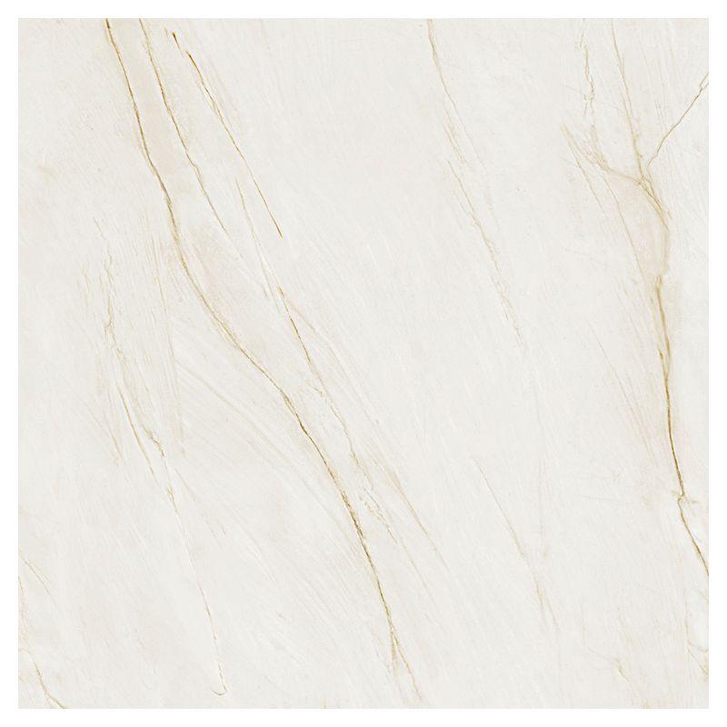 Portinari Porcelanato Esmaltado Imagem 02