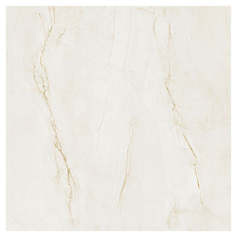Portinari Porcelanato Esmaltado Imagem 04