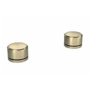 Acionamento Monocomando Mesa Redondo Deca You Summer Gold