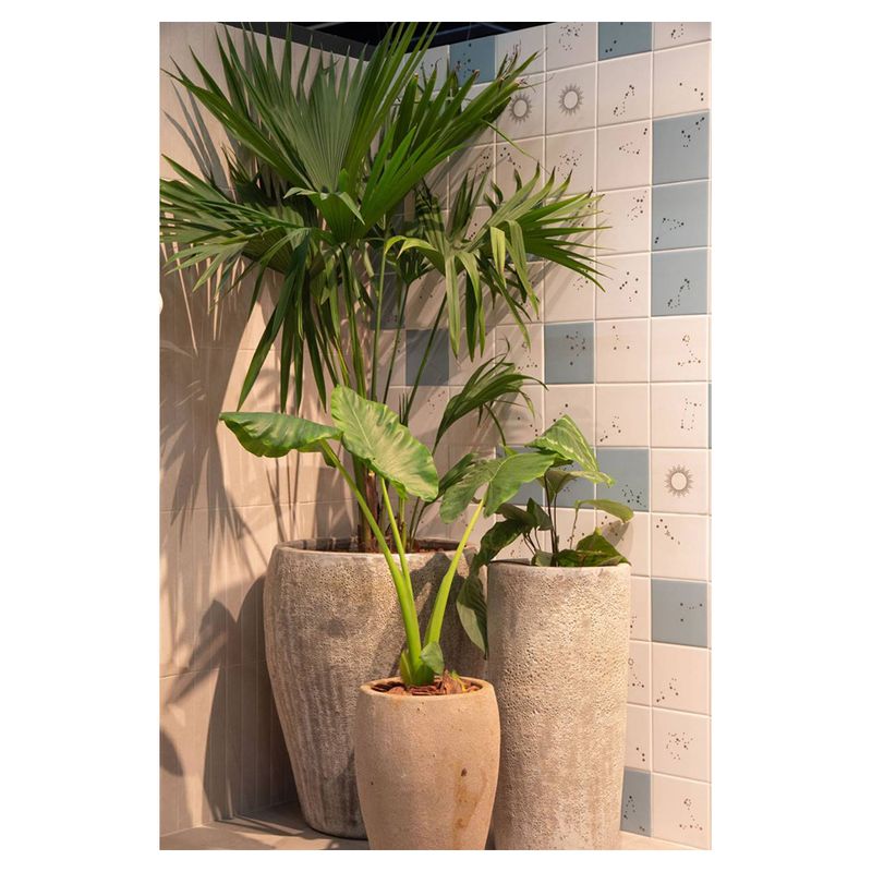 Decortiles Revestimento Imagem 014