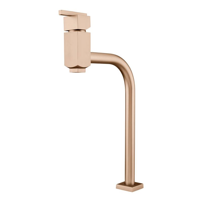 Fani Misturador Monocomando de Mesa Imagem 01