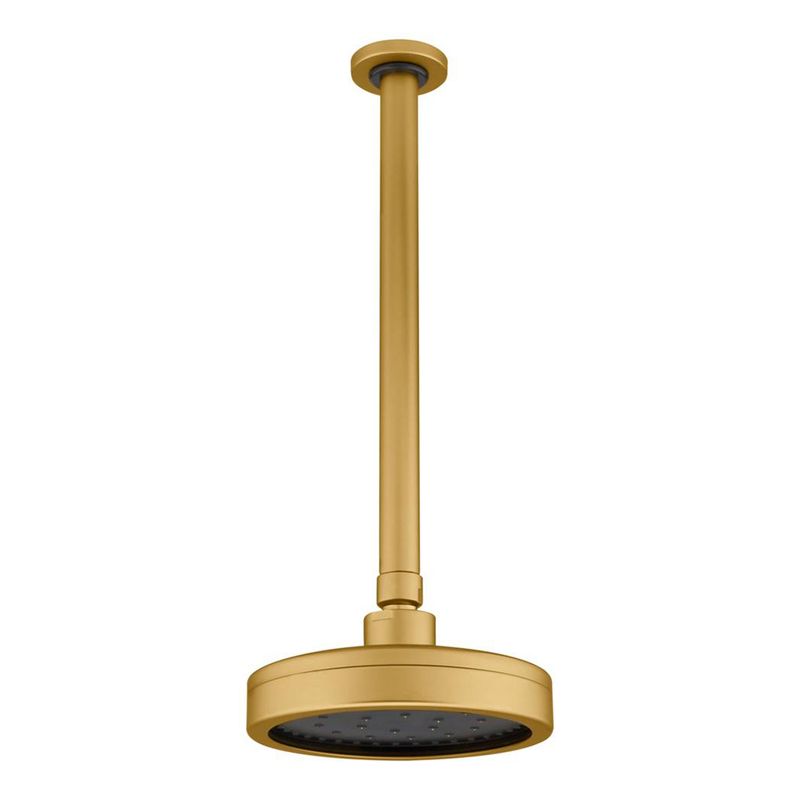 Fani Chuveiro de Teto Imagem 01