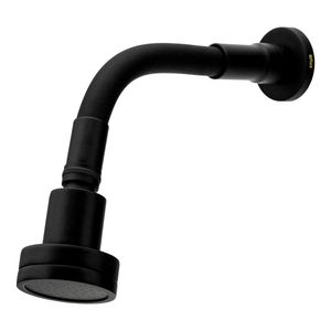 Chuveiro de Parede Articulado Braço Flexível Flex Black Fosco