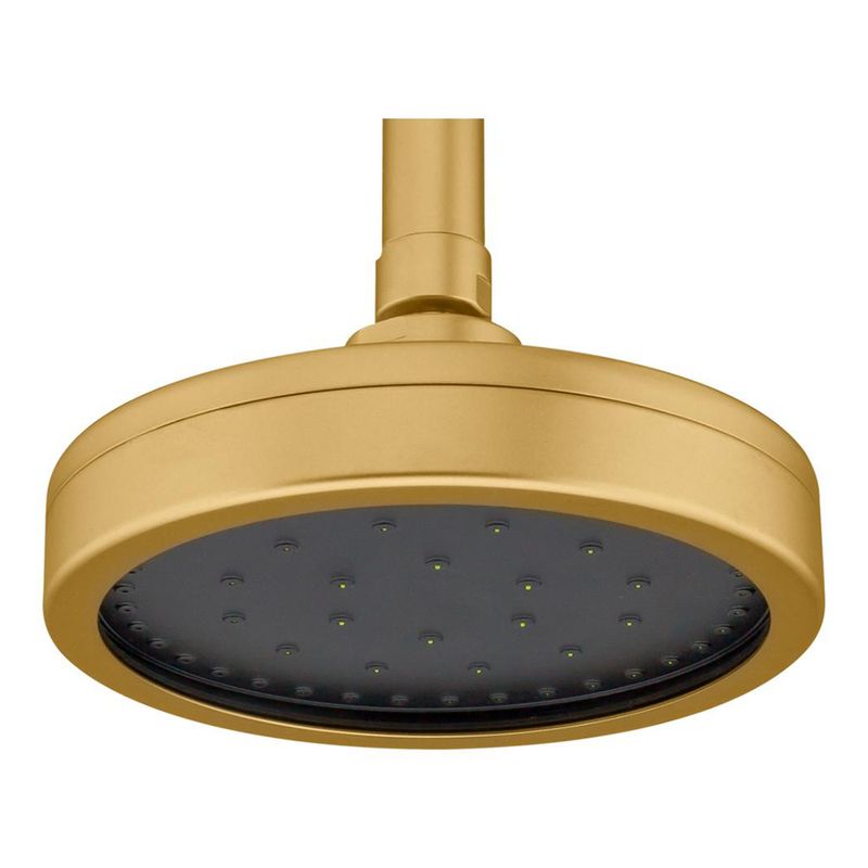 Fani Chuveiro de Teto Imagem 03