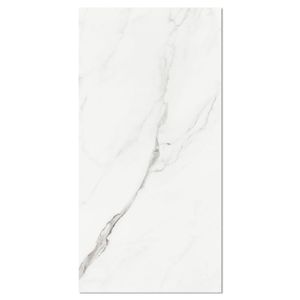 Porcelanato Esmaltado Carrara Branco 60X120cm Pol Retificado