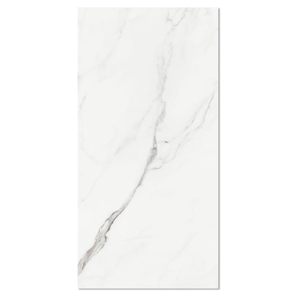 Porcelanato Esmaltado Carrara Branco 60X120cm Pol Retificado