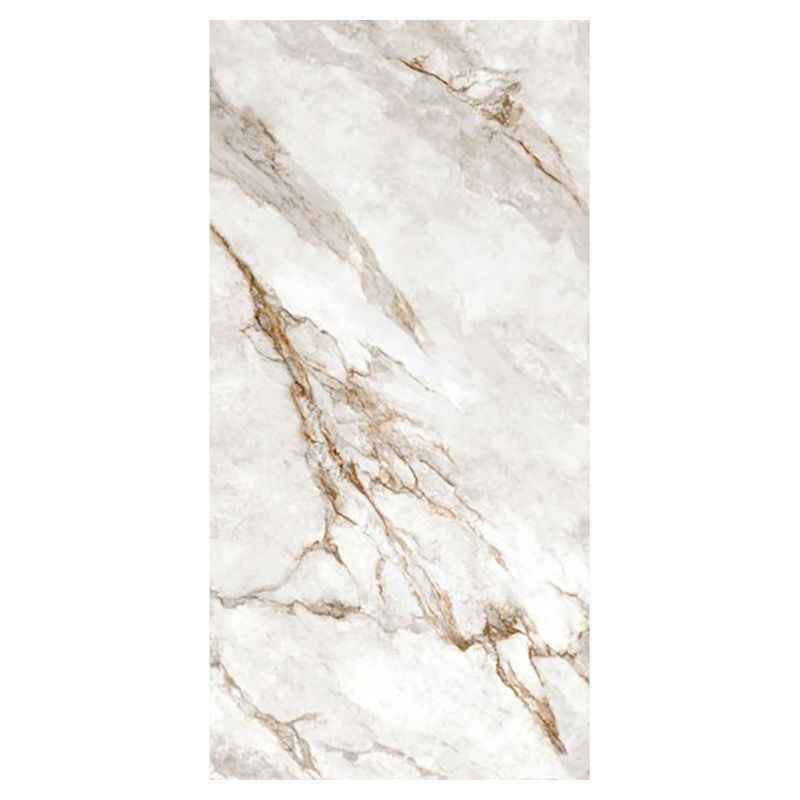 Biancogres Porcelanato Esmaltado Imagem 01