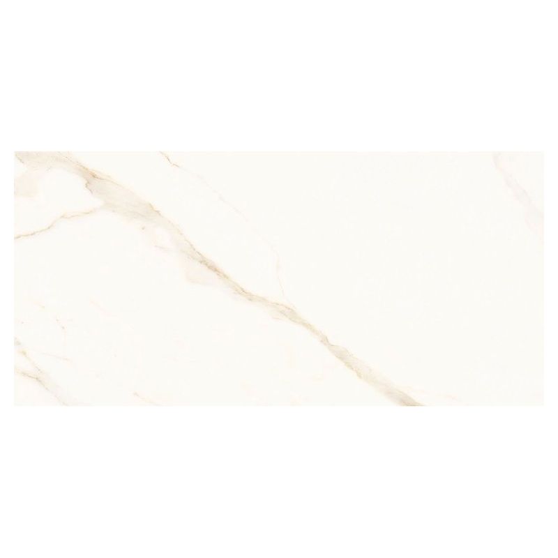 Portinari Porcelanato Esmaltado Imagem 01