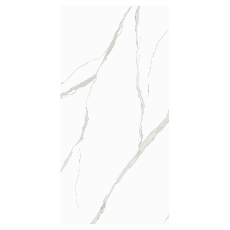 Portinari Porcelanato Esmaltado Imagem 01