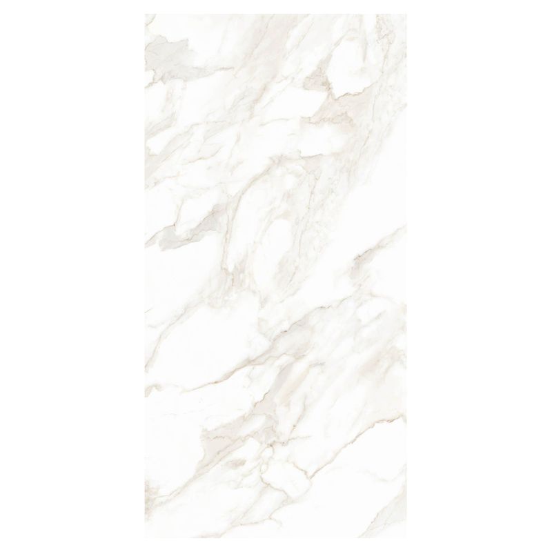 Portinari Porcelanato Esmaltado Imagem 01