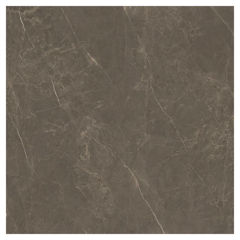 Portinari Porcelanato Esmaltado Imagem 01