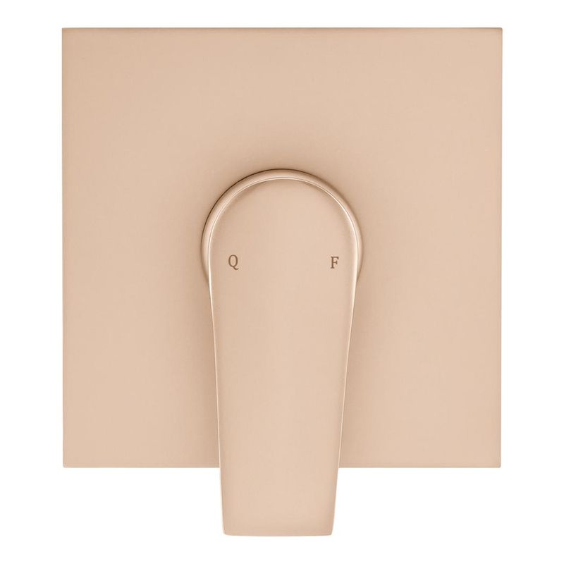 Fani Acabamento Misturador Monocomando Imagem 02